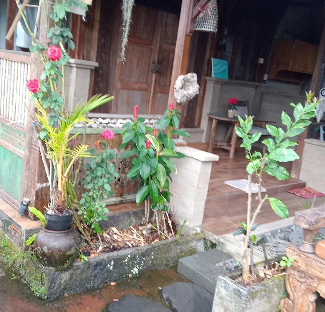 Villa Joglo House Nagi Ubud